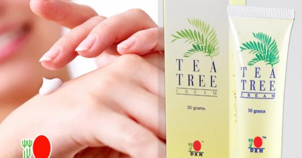Crema del Árbol del Té DXN - Imagen 2